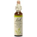 BACHCHESTNUTBUD20ML.jpg