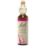 BACHLARCH20ML.jpg