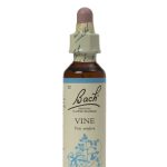 BACHVINE20ML.jpg