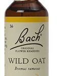 BACHWILDOAT20ML.jpg