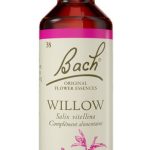 BACHWILLOW20ML.jpg