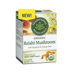 TRADITIONALMEDICINALSORGREISHIMUSHROOM16BG.jpg